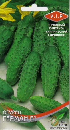 Семена Герман Огурцы Купить В Москве