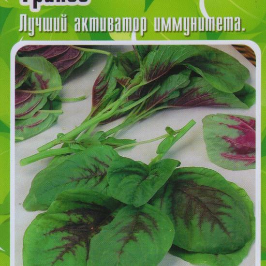 Купить Семена В Спб Дом Семян